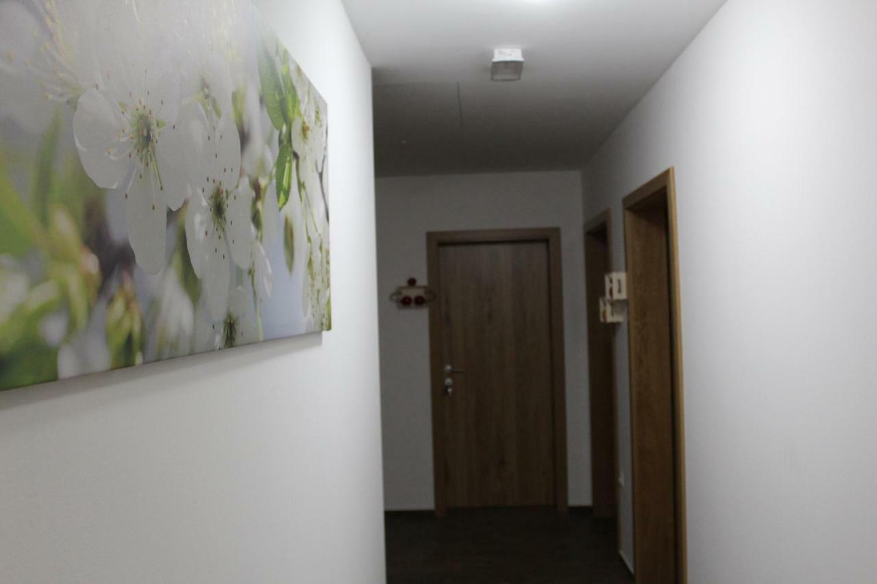 Vdovic Guest House Svecina Εξωτερικό φωτογραφία